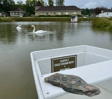 Создание подноса-осколка из эпоксидной смолы с цветами Фото 22